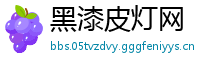 黑漆皮灯网